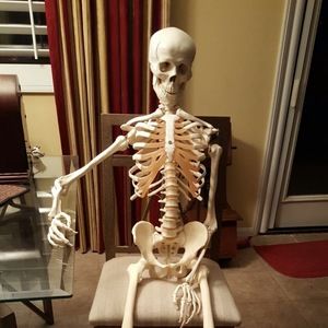 Meet your Posher, Dan